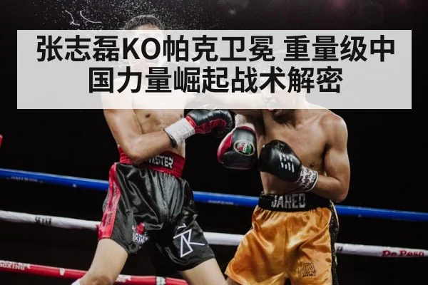 张志磊KO帕克卫冕 重量级中国力量崛起战术解密（jiuyou game）